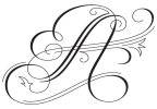 AMSHUKA DESIGNS - logo AMSHUKA DESIGNS - logo