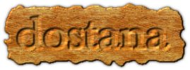 dostana4ever - logo dostana4ever - logo