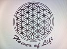http://www.flowerof-life.com - logo Flower Of Life - logo