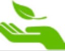 Nature In My Life - logo Nature In My Life - logo