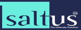 http://www.saltus.in - logo Saltus Advisory Pvt. Ltd - logo