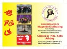Mugendo Martial Arts Academy - logo Mugendo Martial Arts Academy - logo