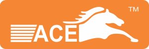 ACE AUTO AGENCY - logo ACE AUTO AGENCY - logo
