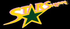 http://www.starshoppedelhi.in - logo Star Shoppe. Naveen Chandra +91 11 8527714500 - logo