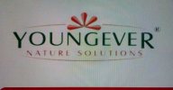http://www.youngever.in - logo YoungEver Nature Solutions - logo