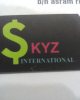 http://skyzinternational.com - logo Skyz International - logo