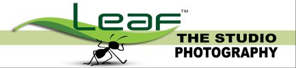 Leaf The Studio - logo Leaf The Studio - logo