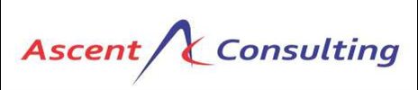 Ascent Consulting - logo Ascent Consulting - logo