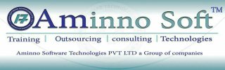 http://www.aminno.com - logo AMINNO SOFTWARE TECHNOLOGY PRIVATE LIMITED - logo