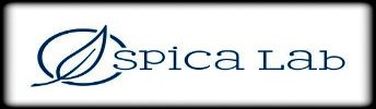Spica Lab - logo Spica Lab - logo
