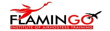 http://www.flamingoairHostessin - logo Flamingo - logo