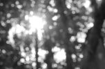 Abraham Photography - logo Abraham Photography - logo