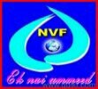 http://www.nayavihanfoundation.in - logo Nayavihanfoundation - logo