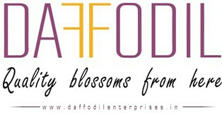 http://www.daffodilenterprises.in - logo Daffodil Enterprises - logo
