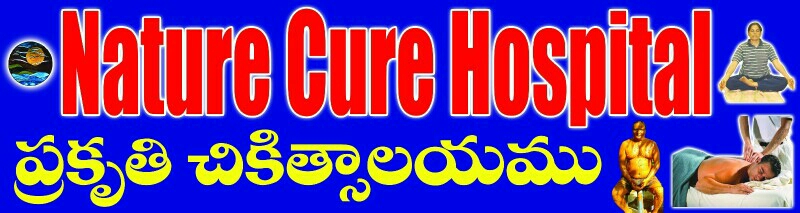 Nature Cure Hospital - logo Nature Cure Hospital - logo