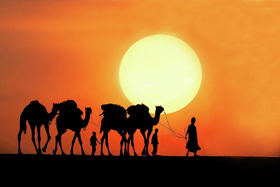 camel safari dunes camp - logo camel safari dunes camp - logo