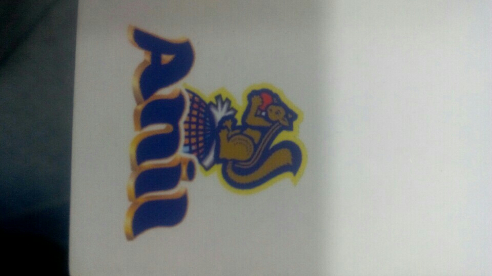 http://www.anilsemia.in - logo Anil Marketing Company - logo