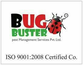 http://Www.pestbugbuster.com - logo Bug Buster Pest Management Services Pvt Ltd - logo