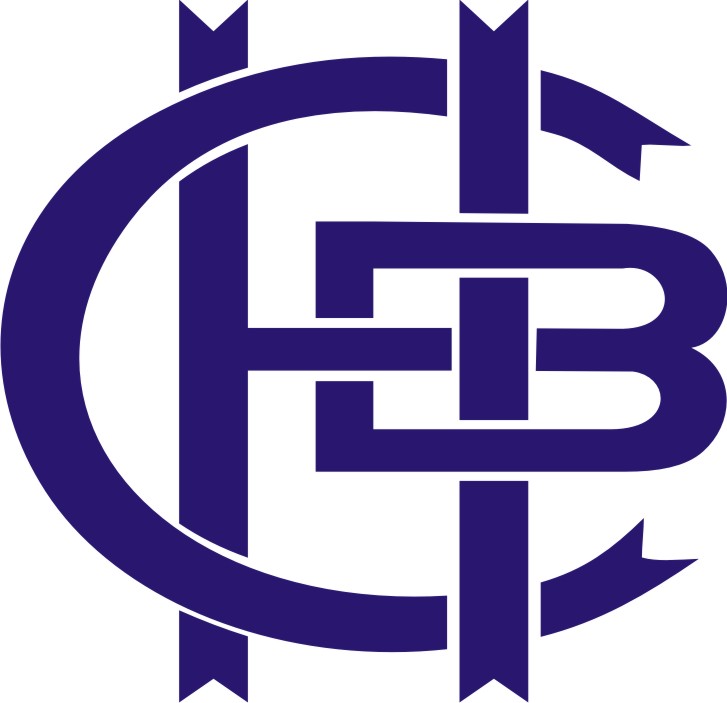 http://www.himanshubairoliyaclasses.com - logo Himanshu Bairoliya Classes - logo