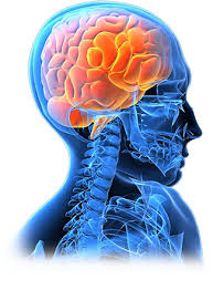 Indian Neuro Spine Care - logo Indian Neuro Spine Care - logo