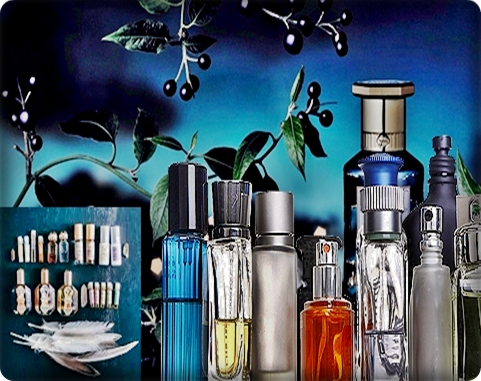 http://nowfloats.com - logo Essential Oils Manufacturer India 7786832394 - logo